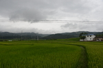 稻香居