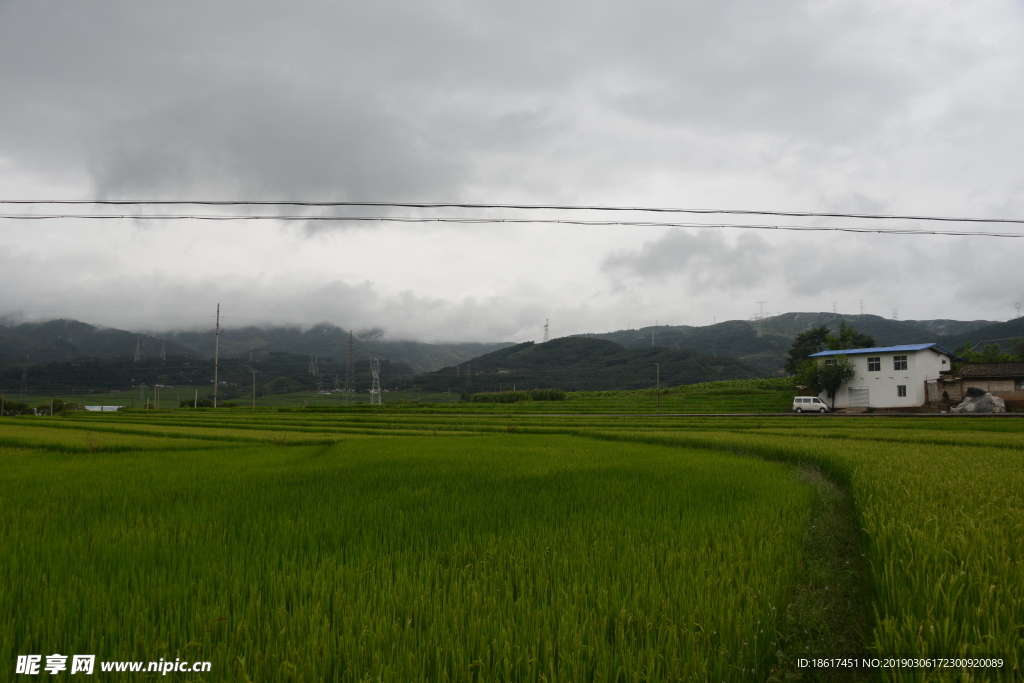 稻香居