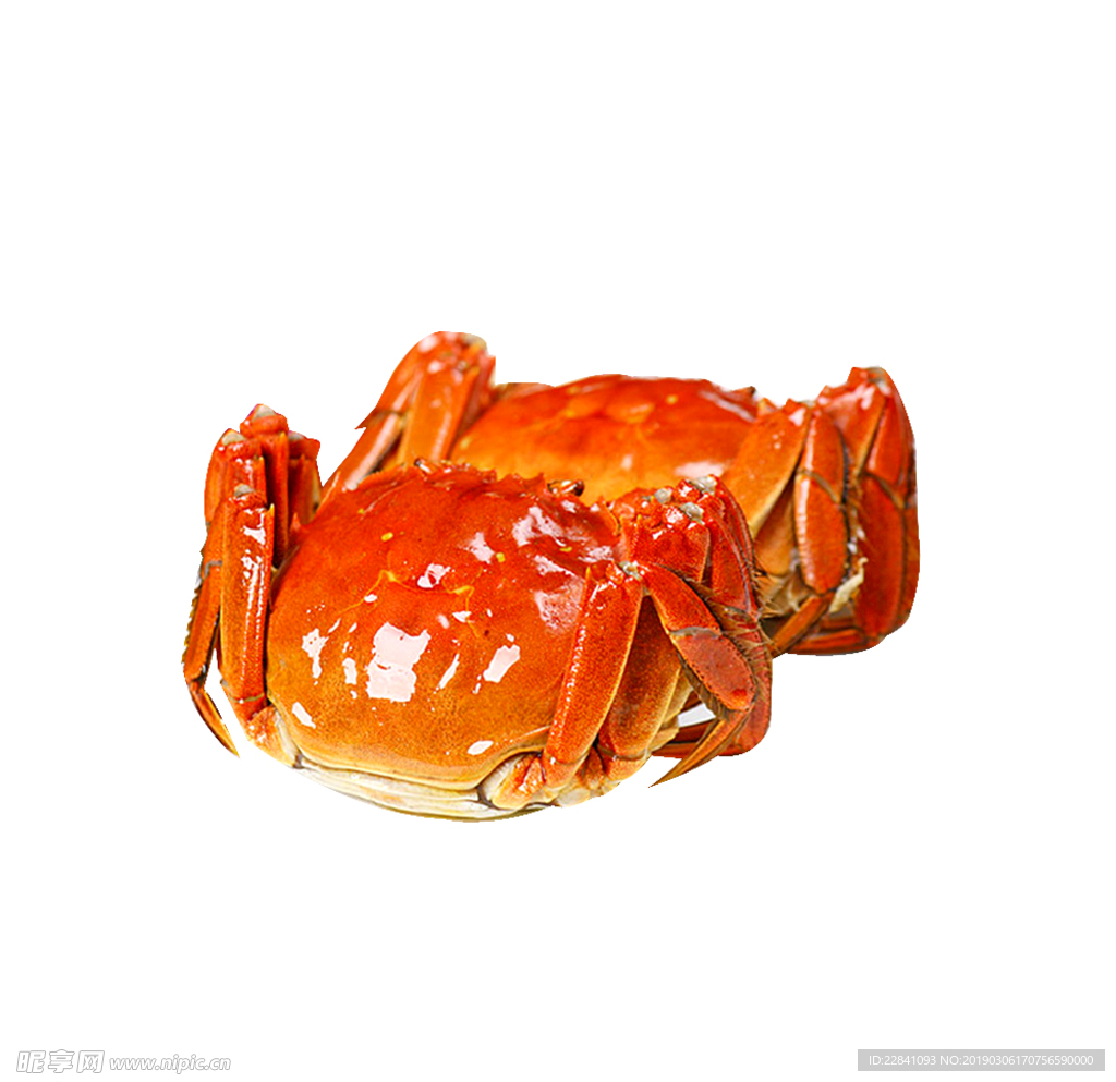 螃蟹要蒸多久才好吃 ？牢记3点，螃蟹鲜美又好吃，膏黄肥满不流失 | 说明书网