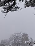 雪中猴子观海