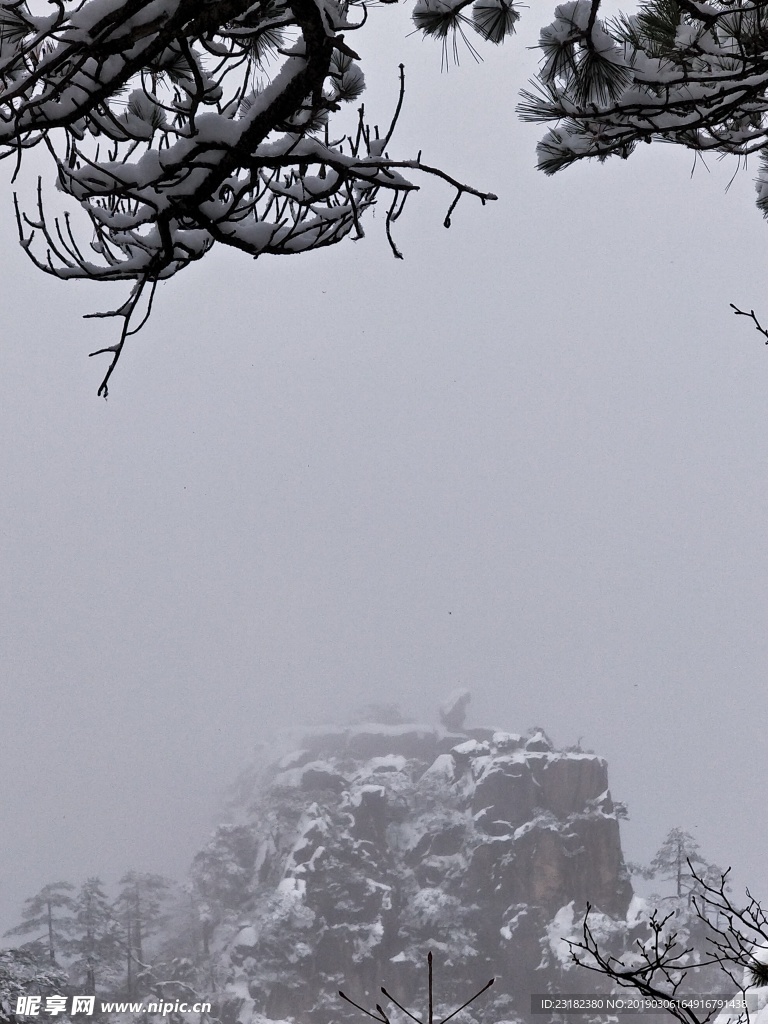 雪中猴子观海