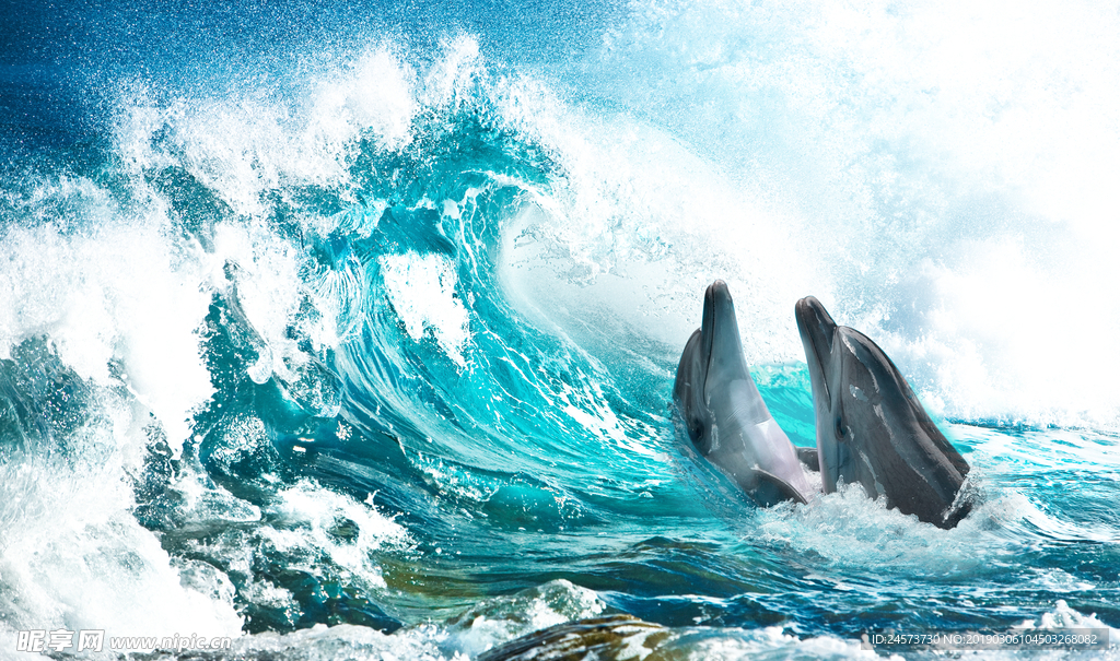 海洋海豚分层巨浪