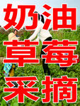 草莓
