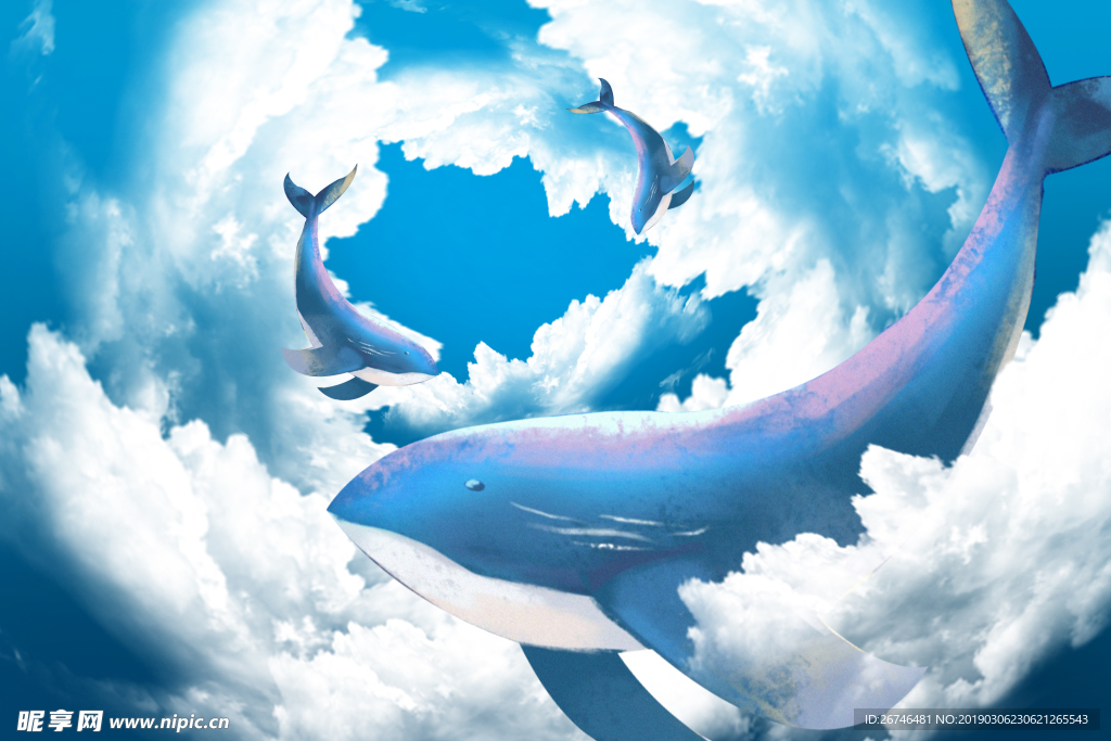 云中的鲸鱼