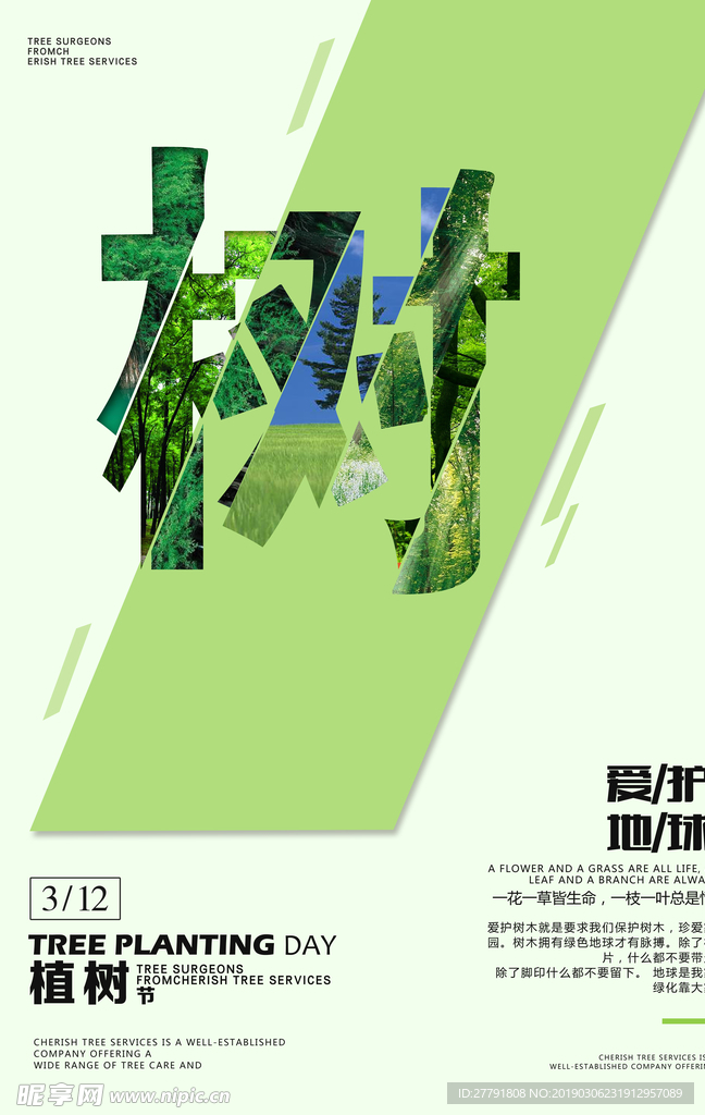 春天樱花节气海报