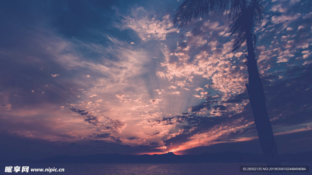 夜景