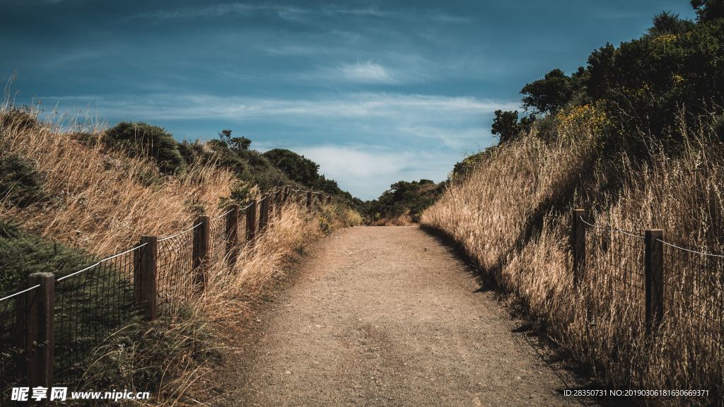 路
