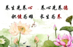 养生名片