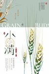 小清新二十四节气24节气小满创