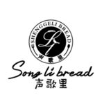 声歌里CDR13文件