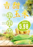 新鲜玉米海报宣传