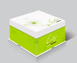 方形蛋糕盒 绿色蛋糕盒