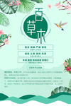 百草木招聘海报