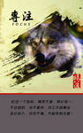 狼性文化展板