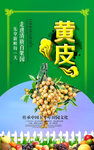 种植园挂图