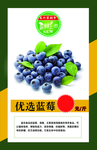 蓝莓展板