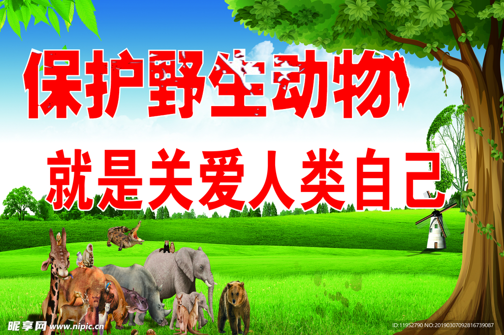 保护野生动