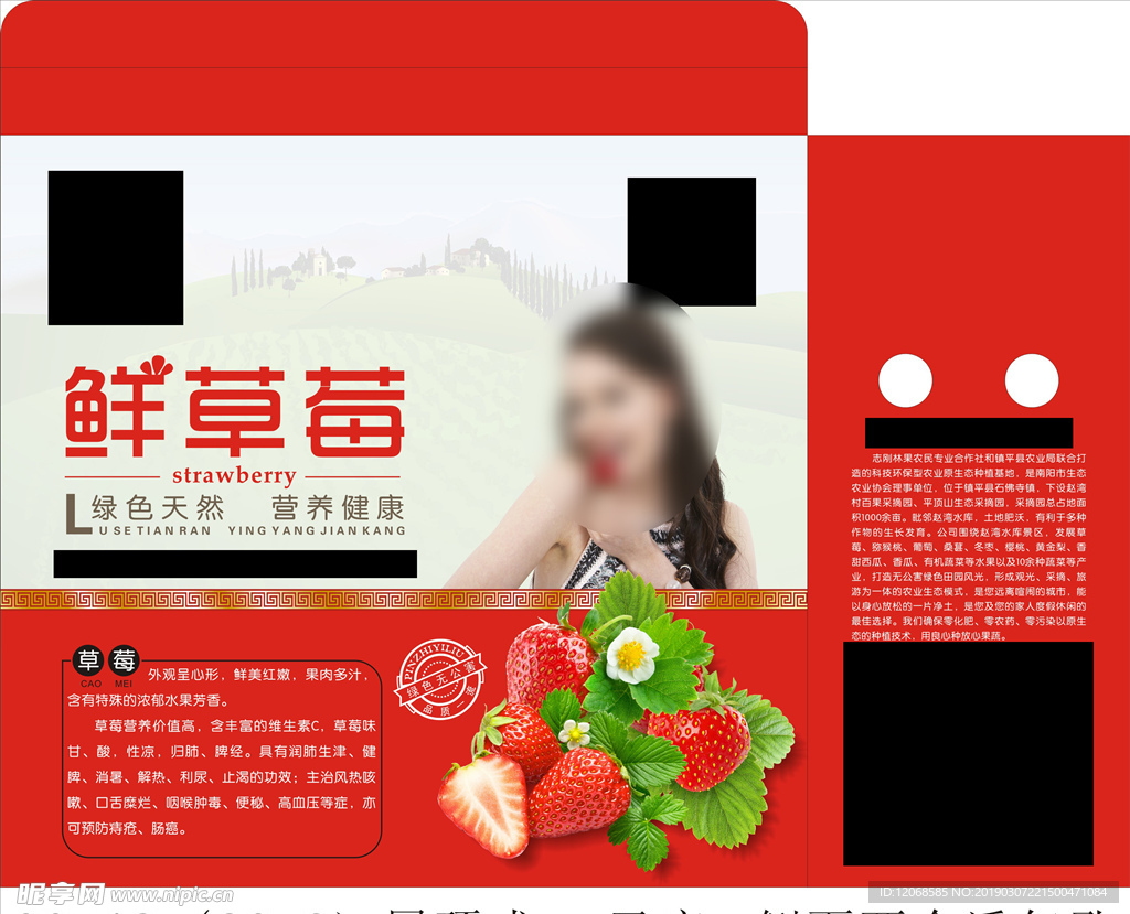 草莓包装