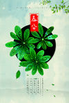 春分节气