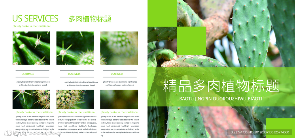 微景观植物养护手册