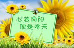 清新