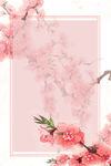 花朵背景