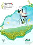 油菜花