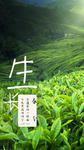 春分图片