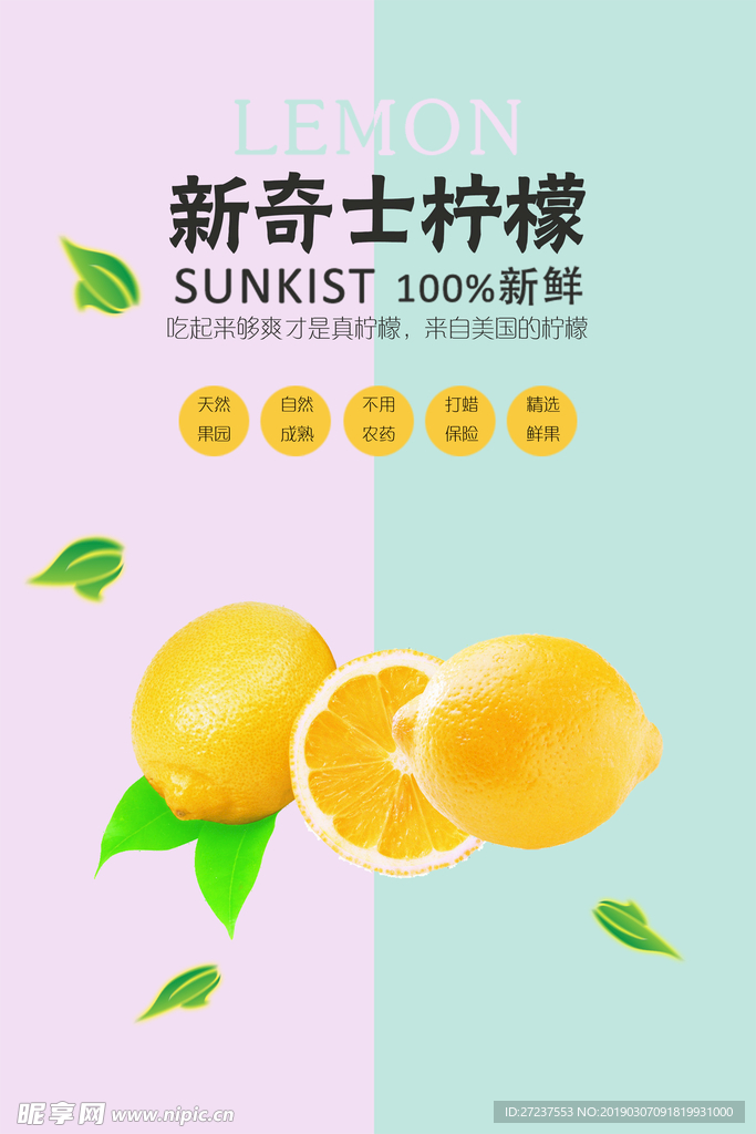 柠檬海报