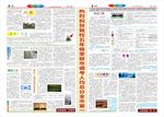作文校报排版