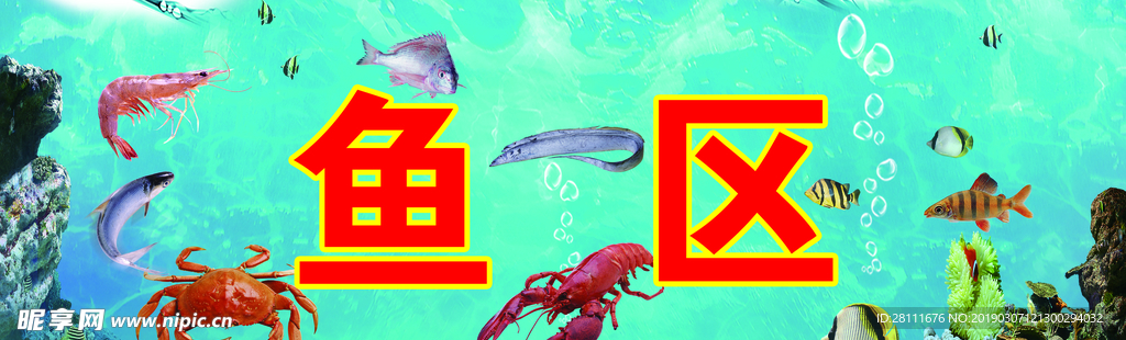 生鲜鱼底图展板