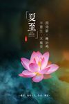 精美荷花夏至海报