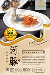 高清河豚宣传海报设计