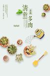 绿槙多肉海报