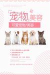 简约可爱宠物美容海报
