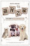可爱宠物店萌宠之家猫狗促销海报
