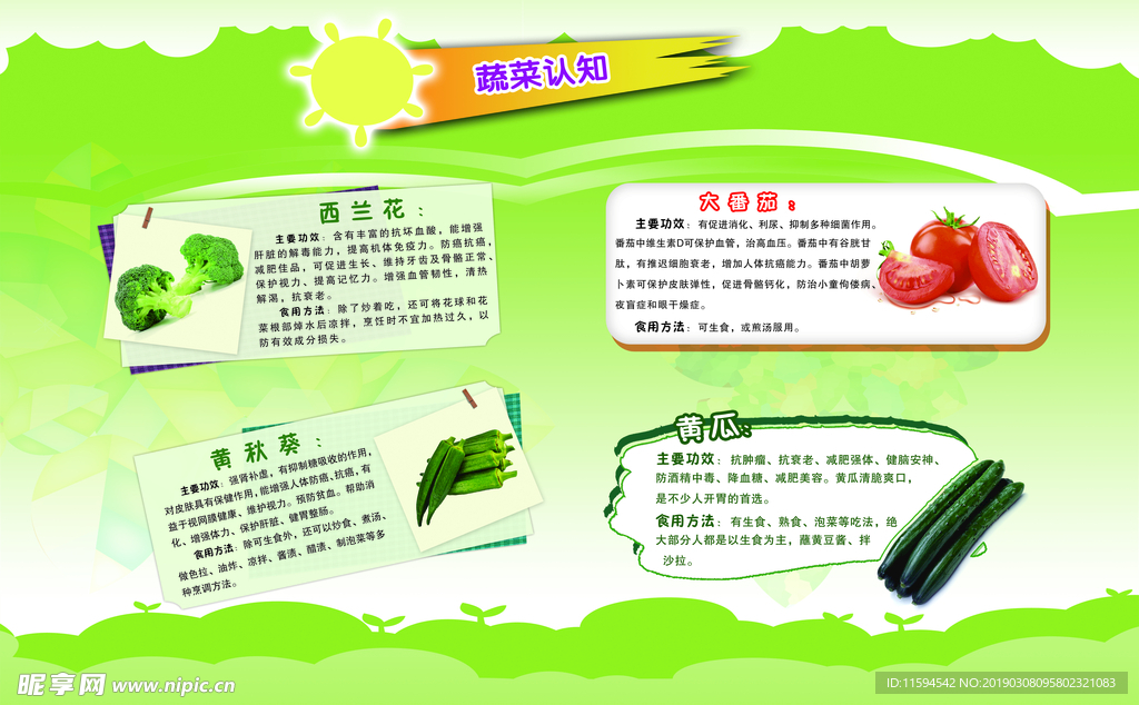 蔬菜认知