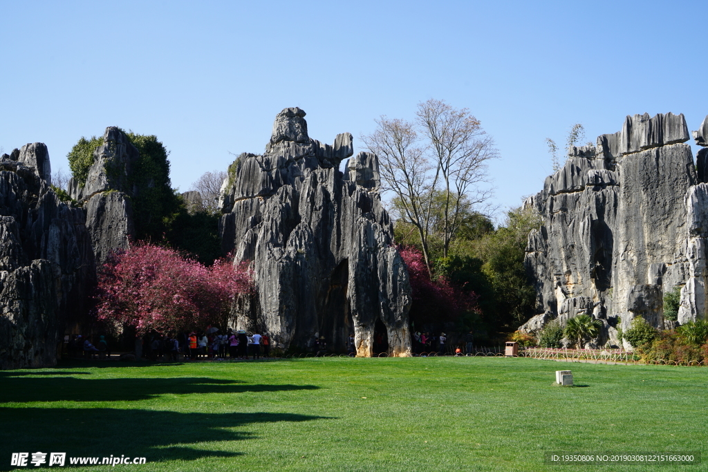 云南石林景区的风景