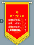 保险旗
