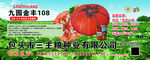 三主粮种业