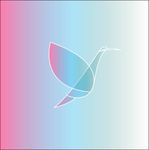 飞鸟logo