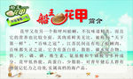 船王花甲