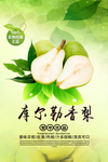 香梨海报