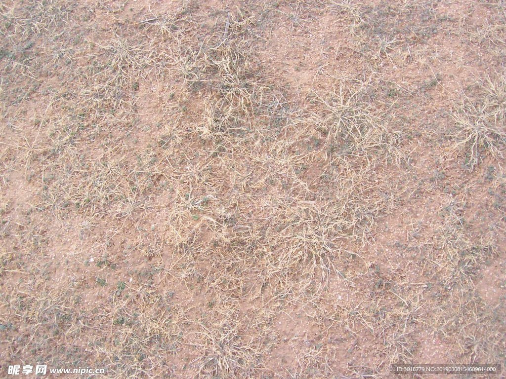 地面草皮