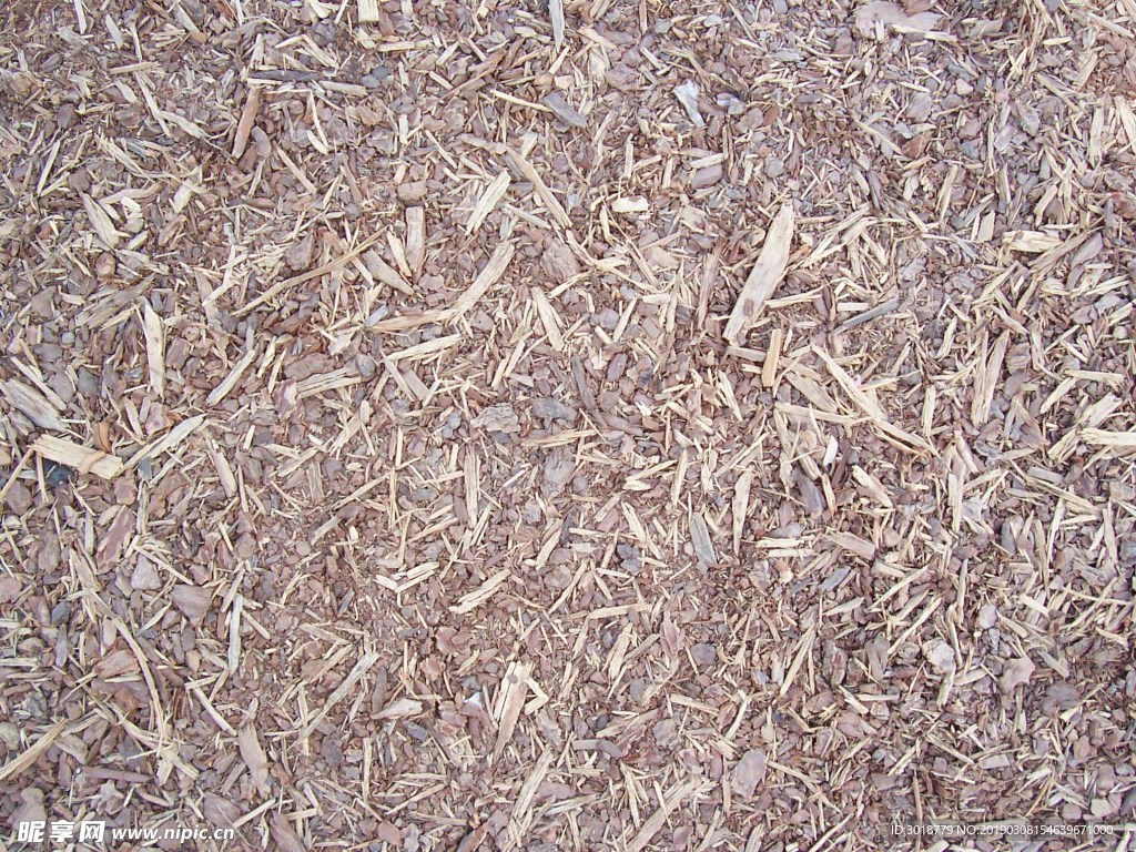 地面草皮
