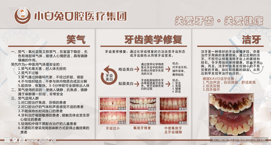 小白兔口腔展板