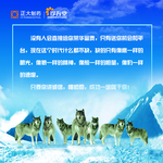 企业文化理念  狼团队