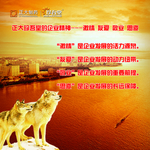 企业文化理念之狼与晚霞