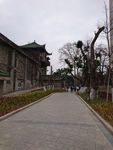 公园小路