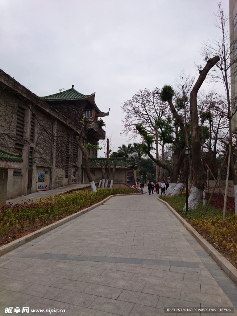 公园小路